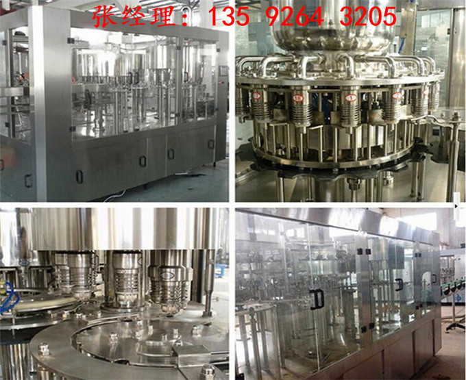 全自動沙棘酵素設備價格|西北沙棘深加工全套設備廠家